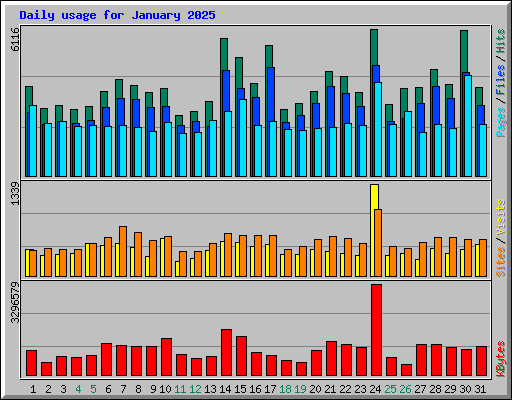 Daily usage for January 2025