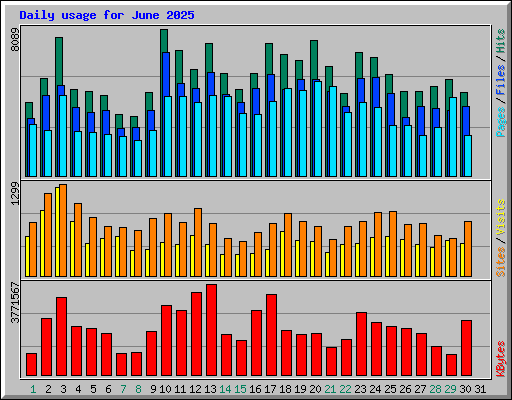 Daily usage for June 2025