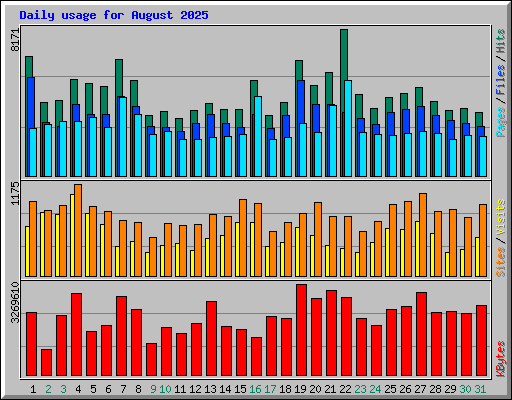 Daily usage for August 2025