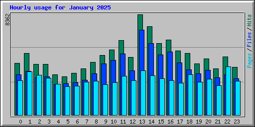 Hourly usage for January 2025