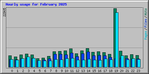 Hourly usage for February 2025