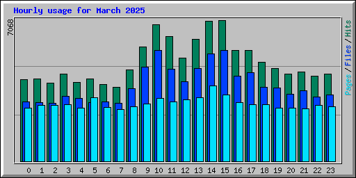 Hourly usage for March 2025