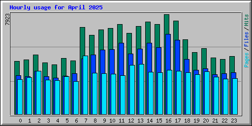 Hourly usage for April 2025