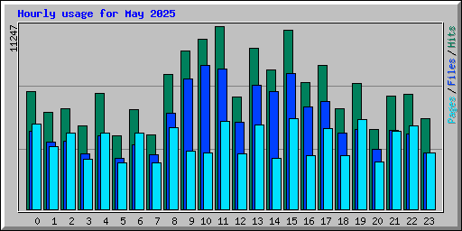 Hourly usage for May 2025