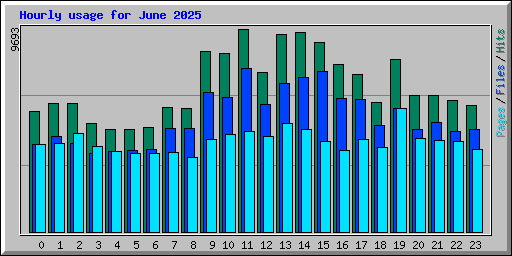 Hourly usage for June 2025