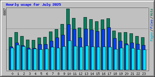 Hourly usage for July 2025