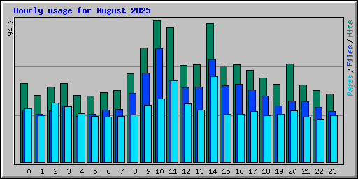 Hourly usage for August 2025