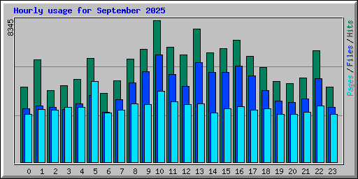Hourly usage for September 2025