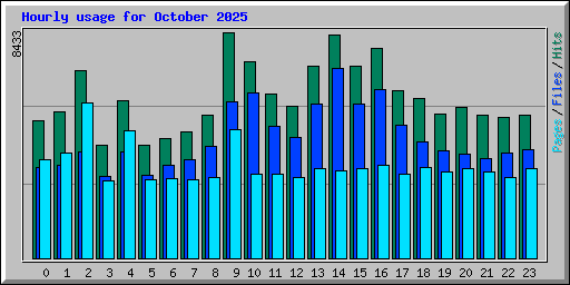 Hourly usage for October 2025