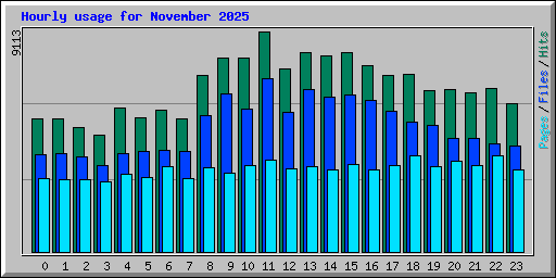 Hourly usage for November 2025